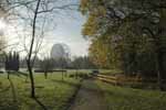 Jodrell Bank from the arboretum