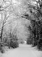 Winters scene at Lamberts Lane,  Congleton. Copyright Phil Barnett